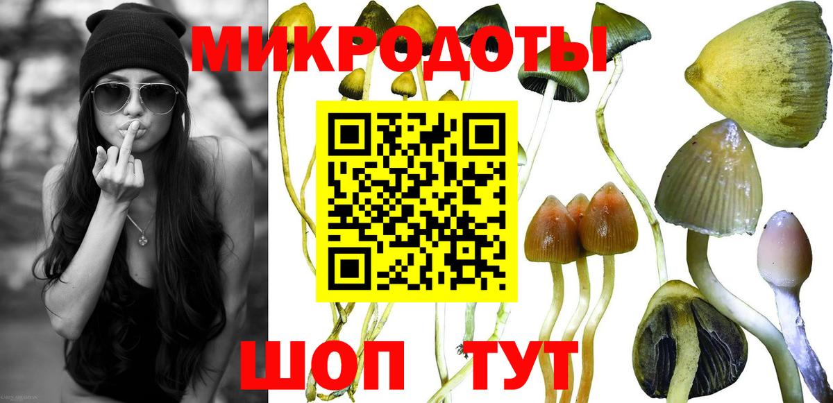 Заводоуковск  Галлюциногенные грибы ЛСД  Вход с VPN  Псилоцибиновые грибы Psilocybe 